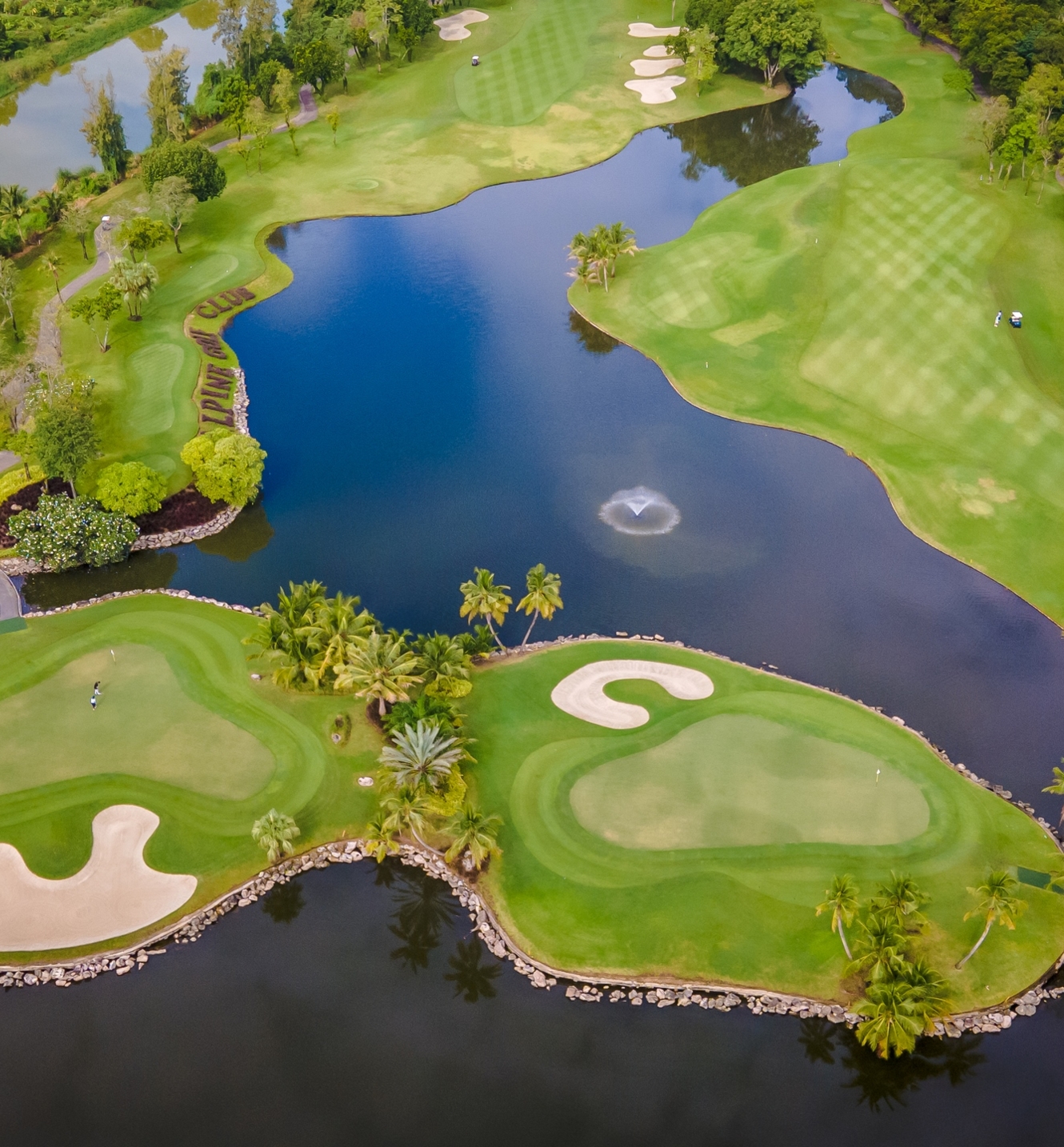 7aeab77caf747c9364fe2af18d888a4a@2x