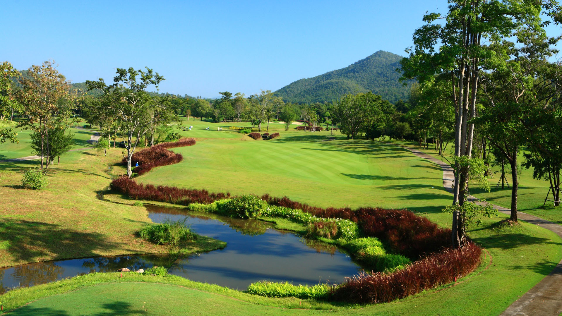 Alpine Chiang Mai 02