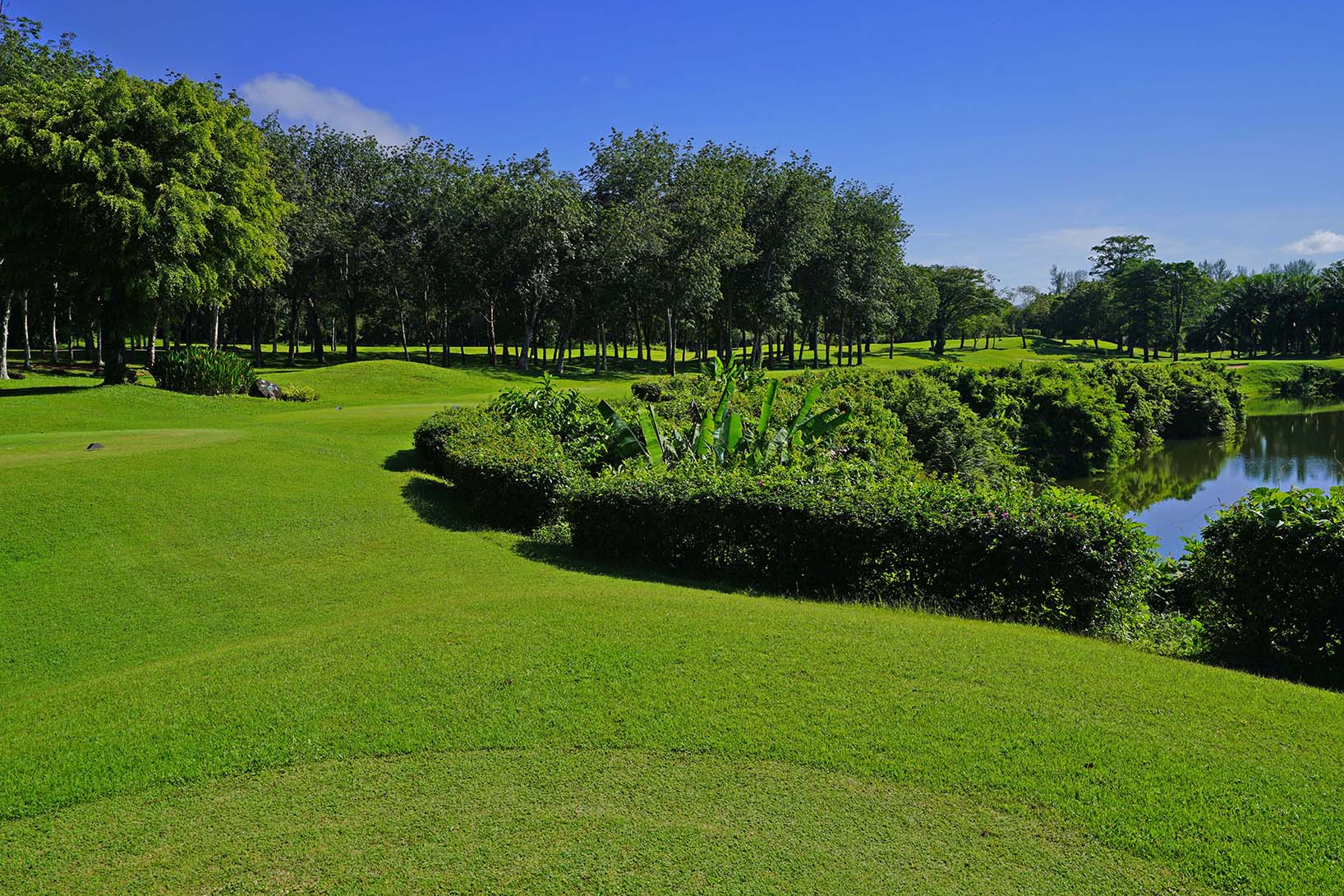 Blue Canyon Country Club 1