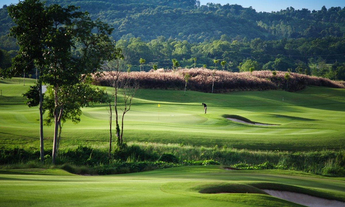 Siam Plantation 2024 Green
