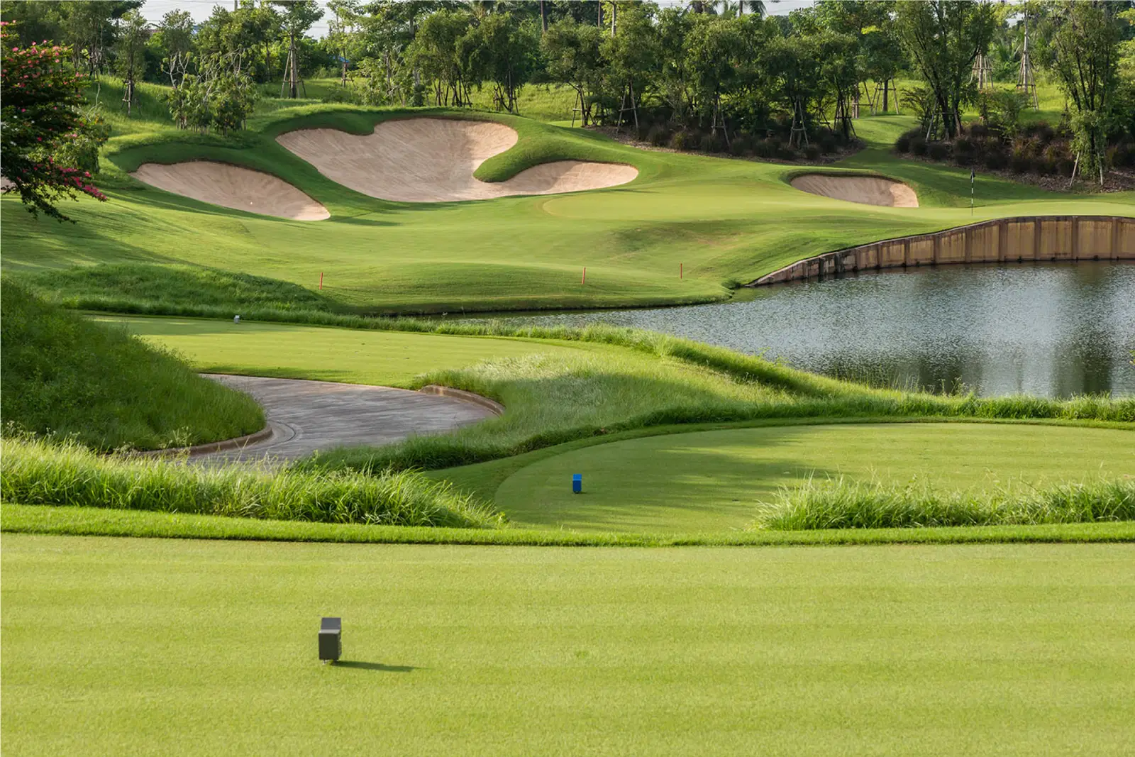 nikanti golf club 5