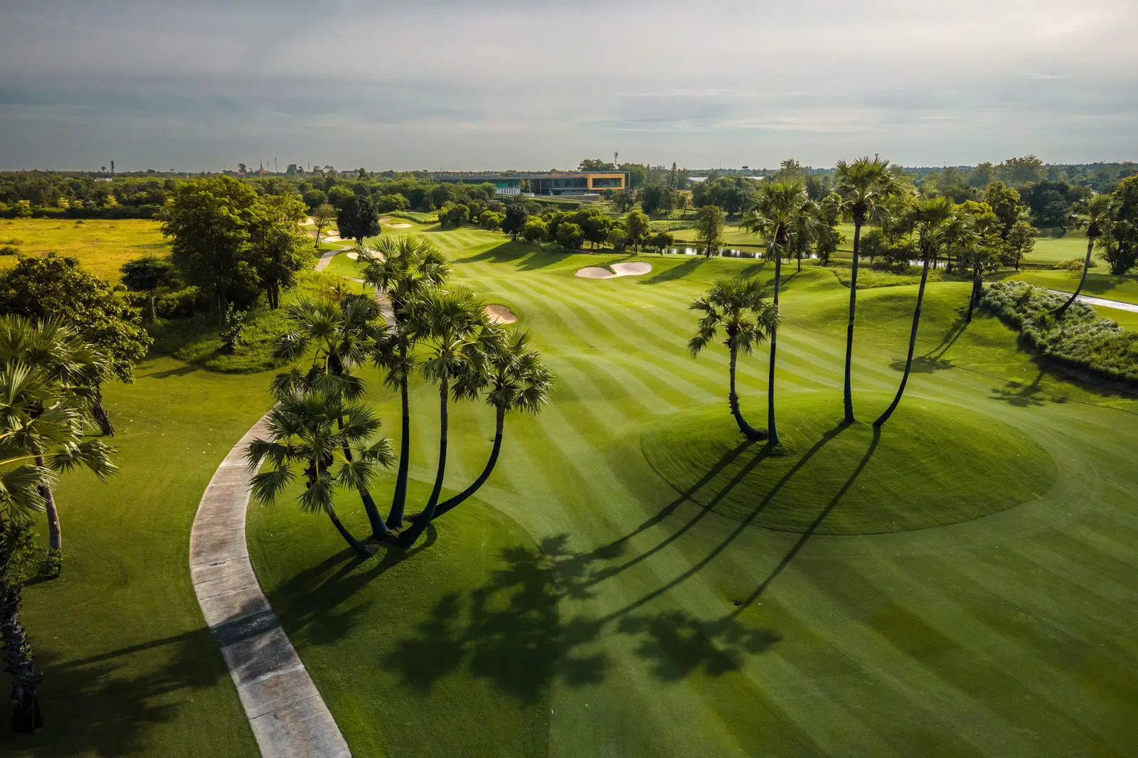 nikanti golf club 8
