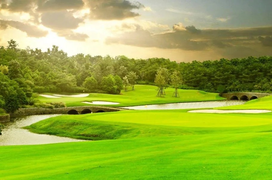 royal gems golf city 4 qrc7n3pwq93rvvu5z7xychdldxxtfx7vfodev02zdk