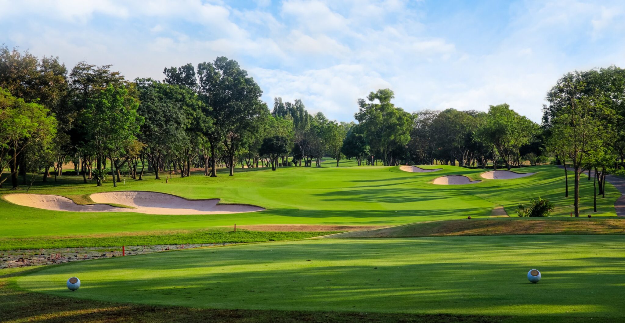 siamoldcourse2